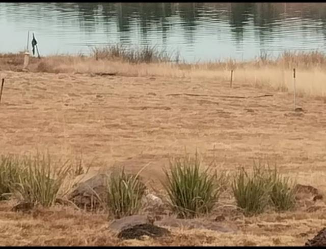 5 BEDROOM HOUSE FOR SALE IN PIET RETIEF